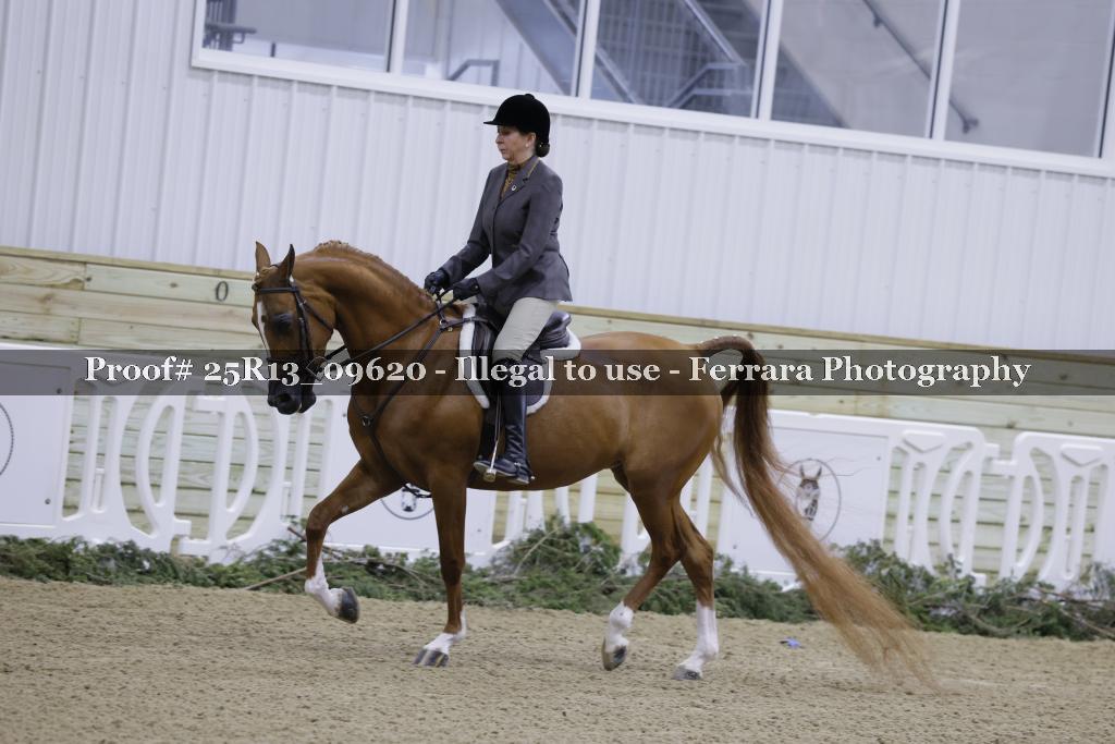 Proof 25R13_09620