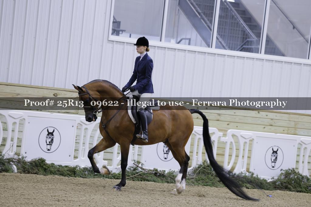 Proof 25R13_09622