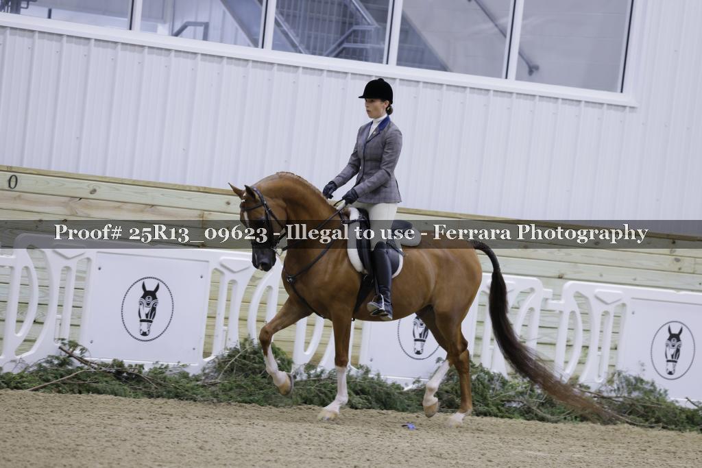 Proof 25R13_09623