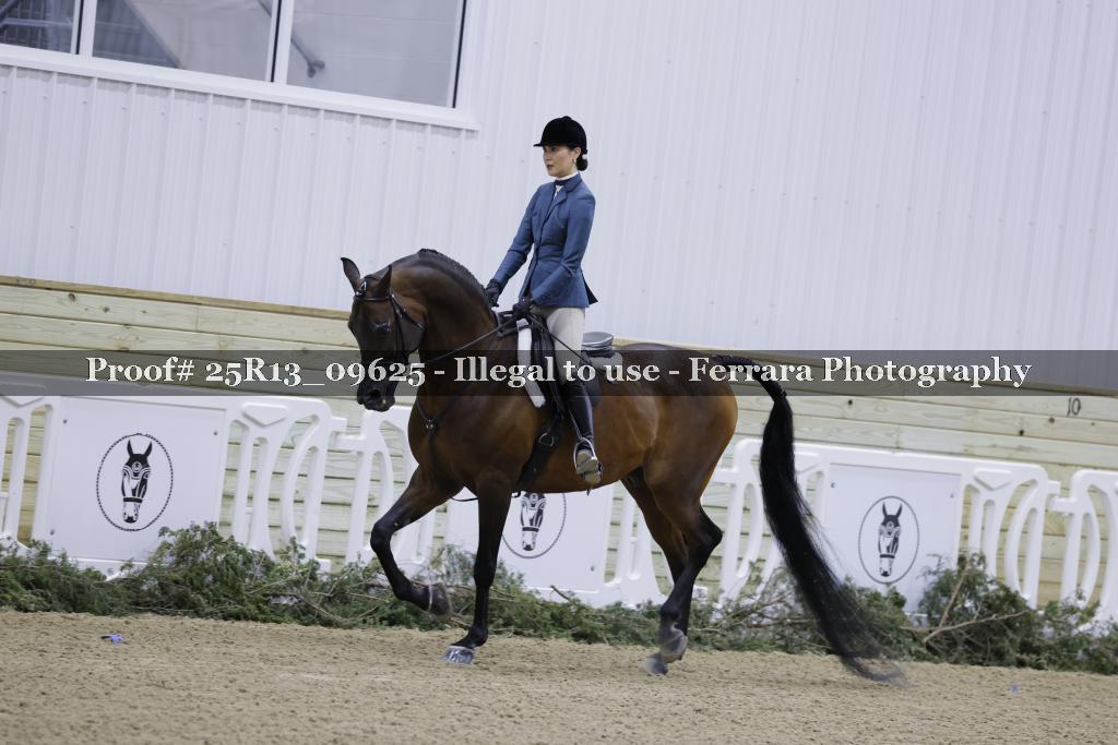 Proof 25R13_09625