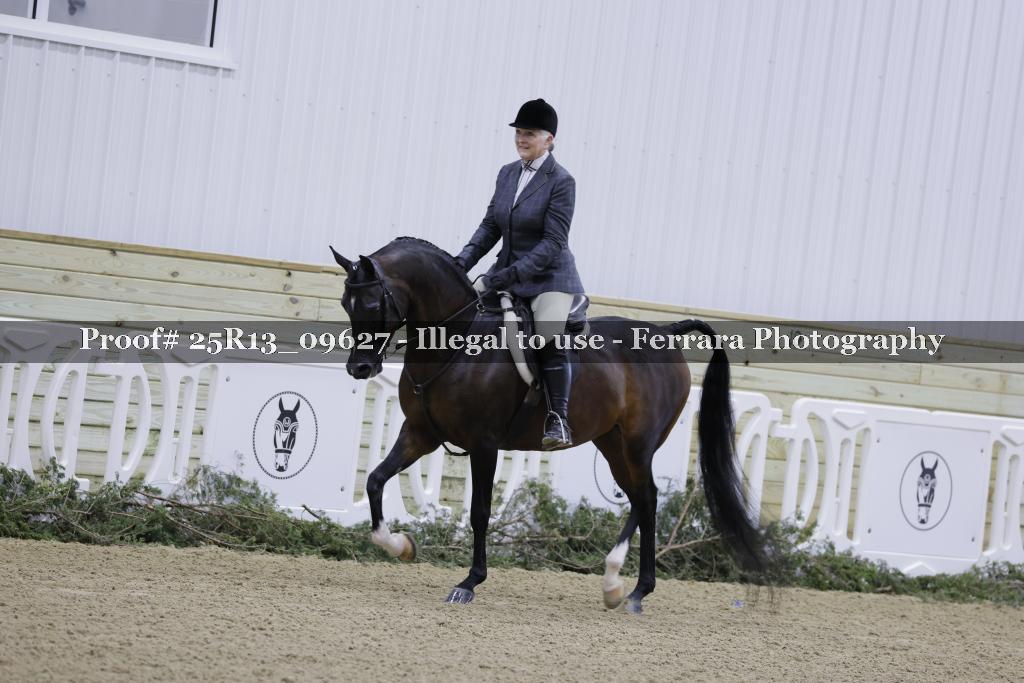 Proof 25R13_09627