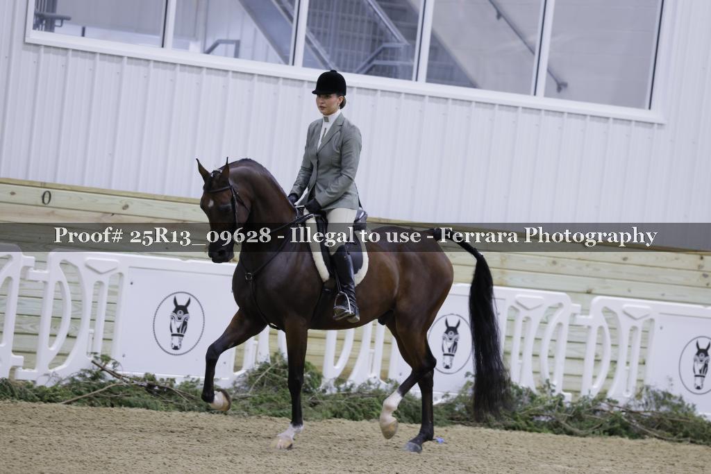 Proof 25R13_09628