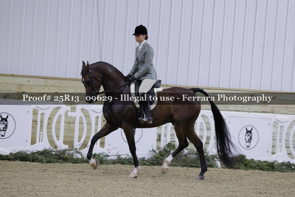 Proof 25R13_09629