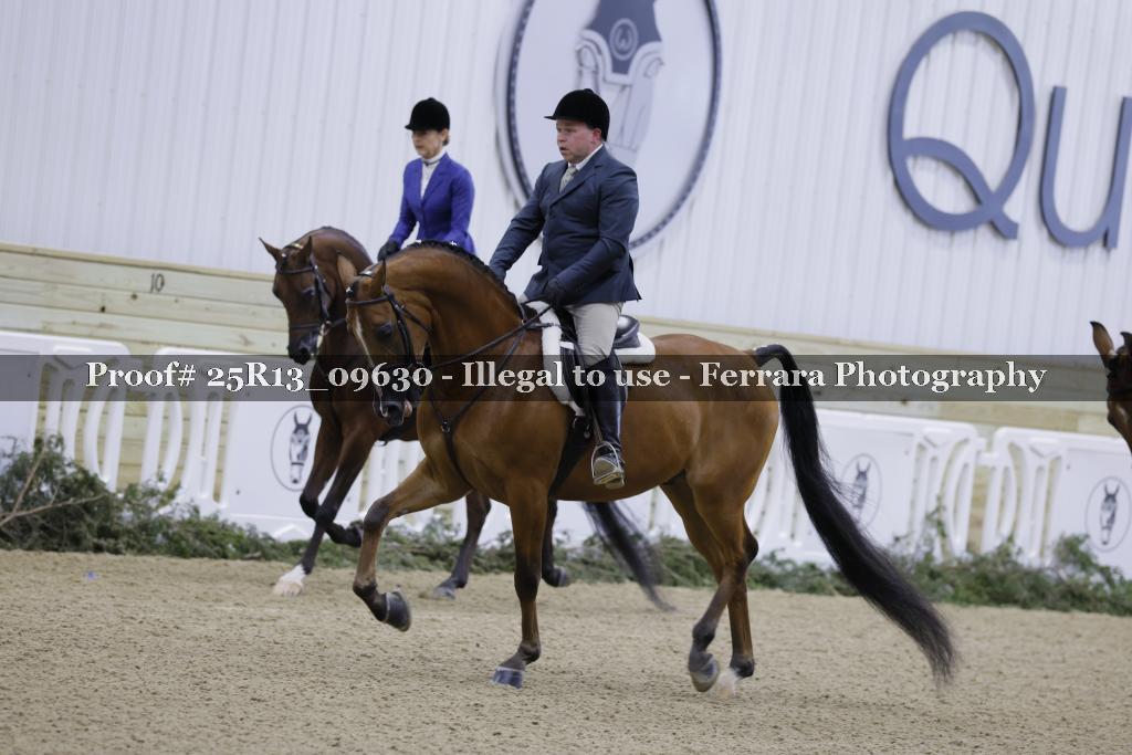 Proof 25R13_09630