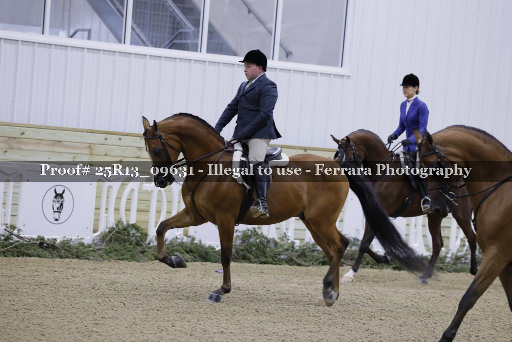 Proof 25R13_09631