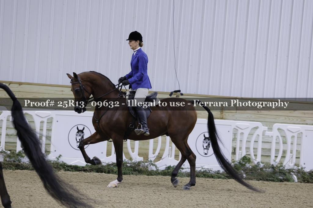 Proof 25R13_09632
