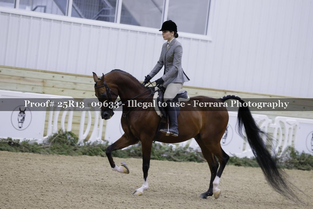 Proof 25R13_09633
