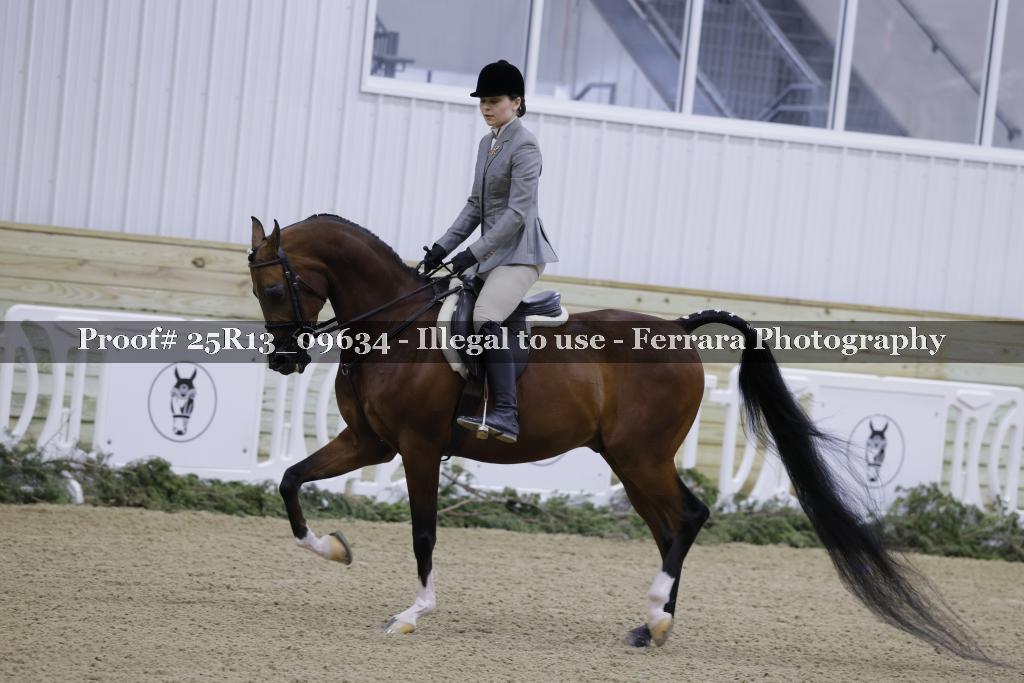 Proof 25R13_09634