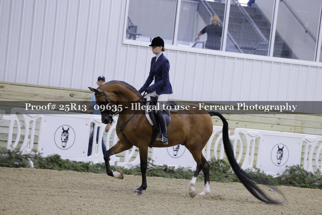 Proof 25R13_09635