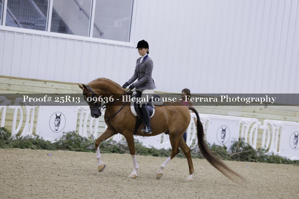 Proof 25R13_09636