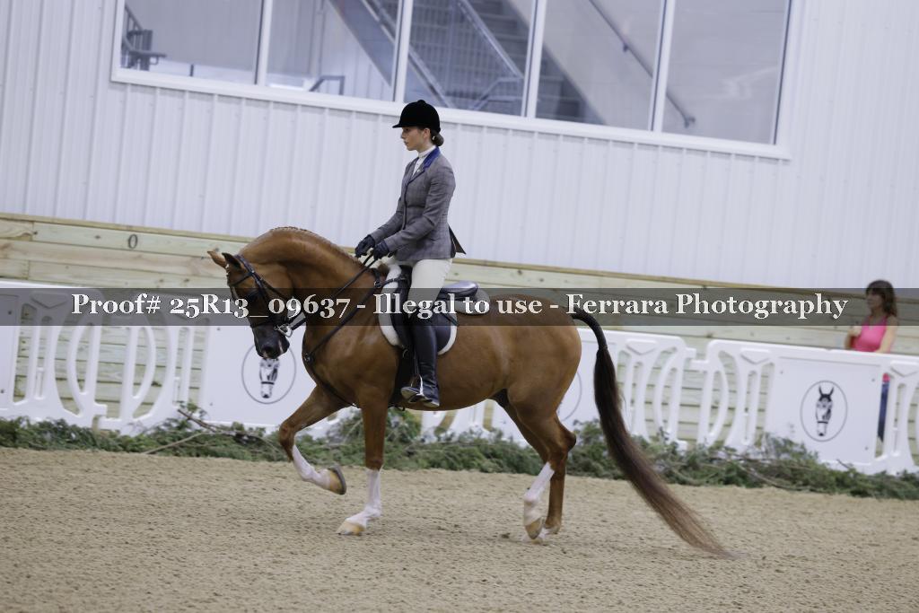 Proof 25R13_09637