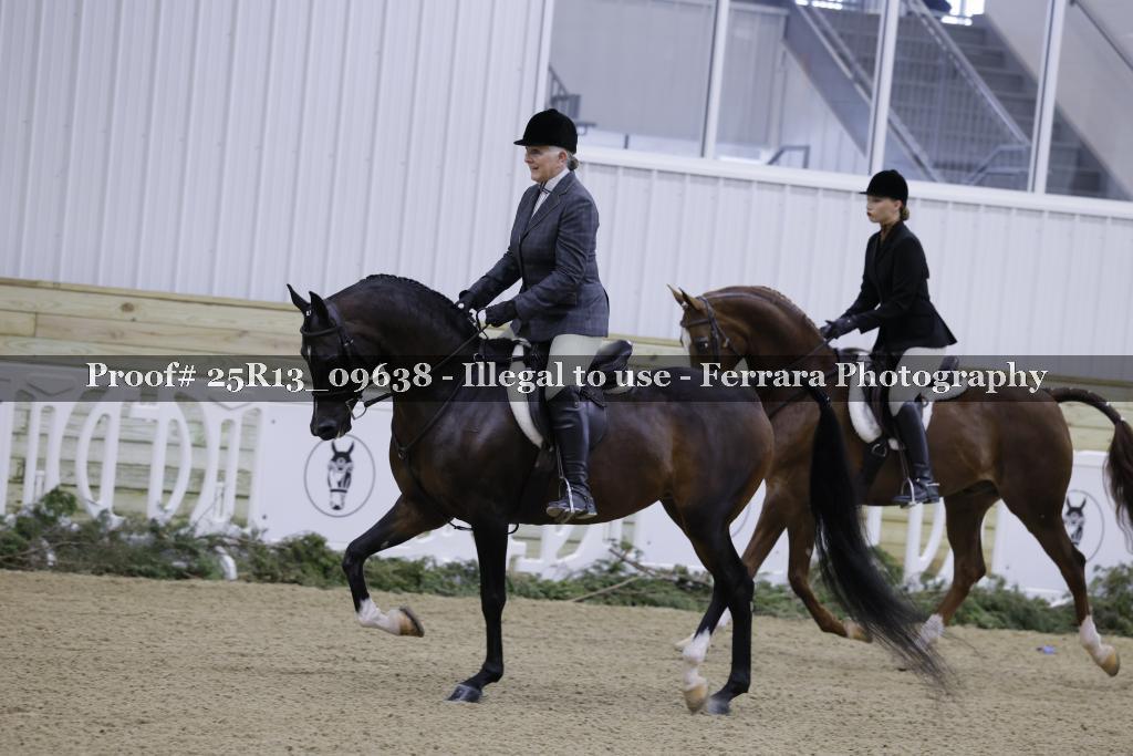 Proof 25R13_09638