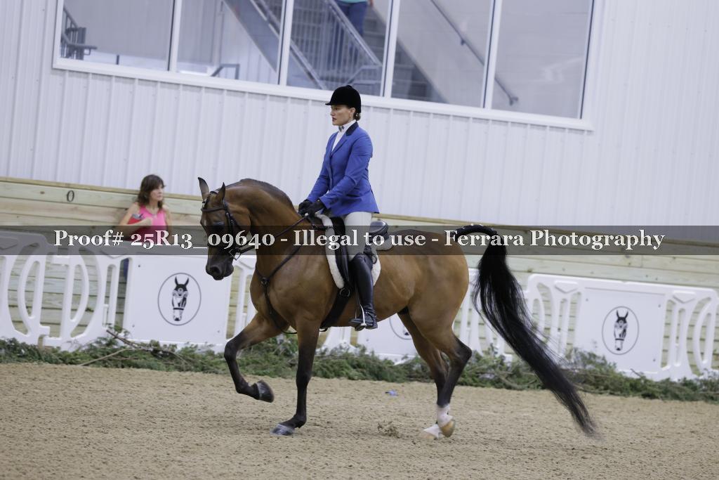 Proof 25R13_09640