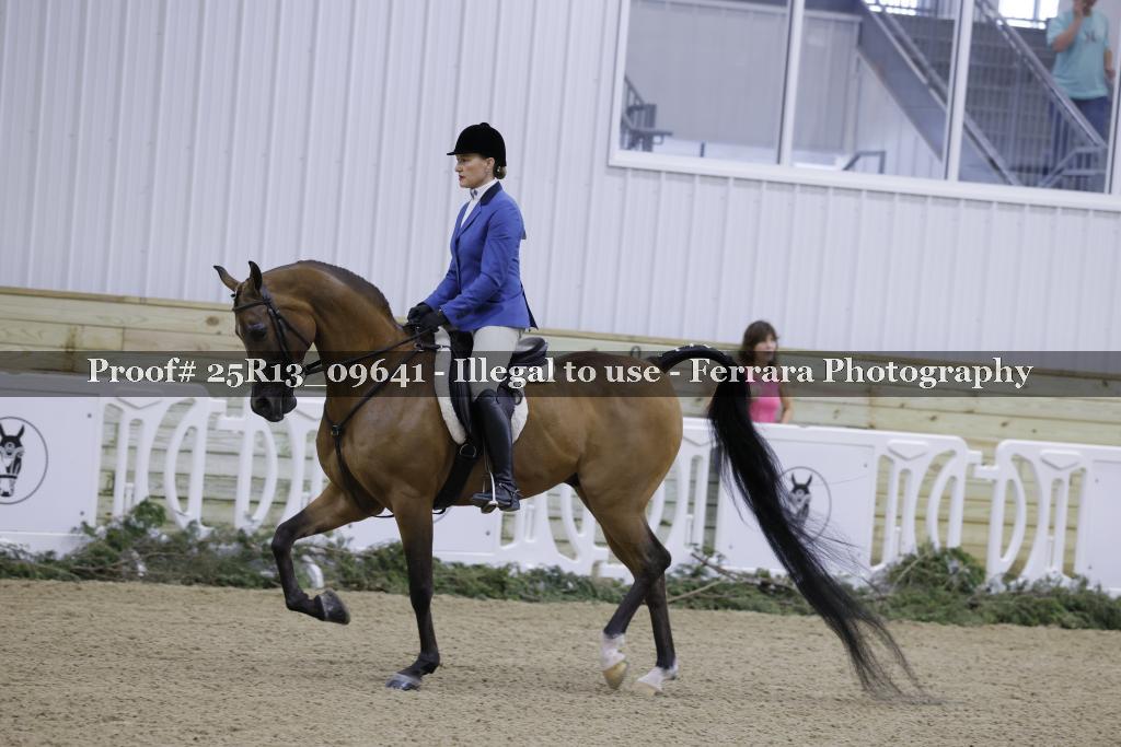 Proof 25R13_09641