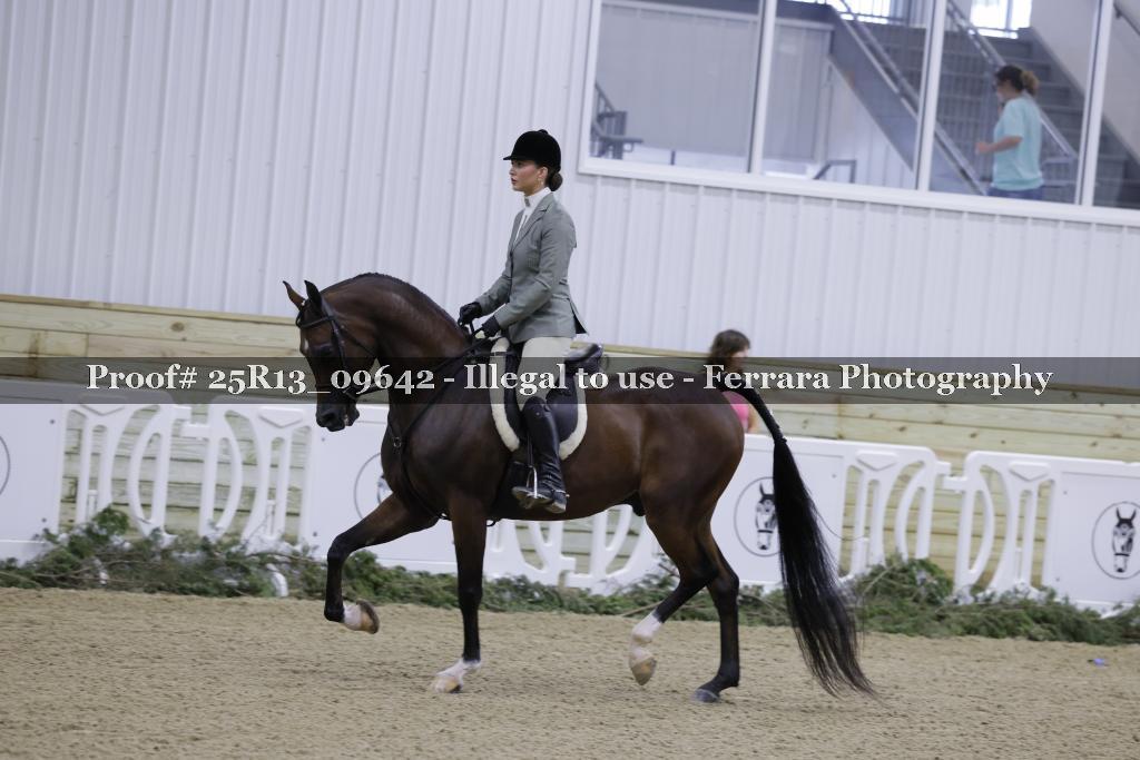 Proof 25R13_09642