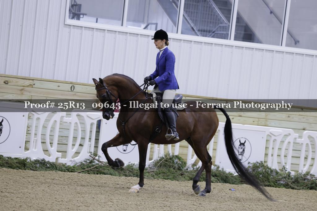 Proof 25R13_09643