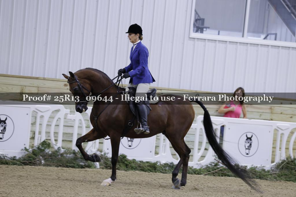 Proof 25R13_09644