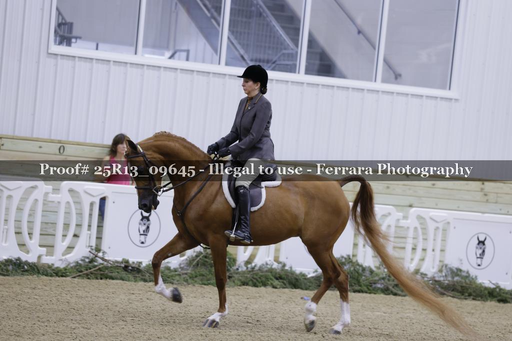 Proof 25R13_09645