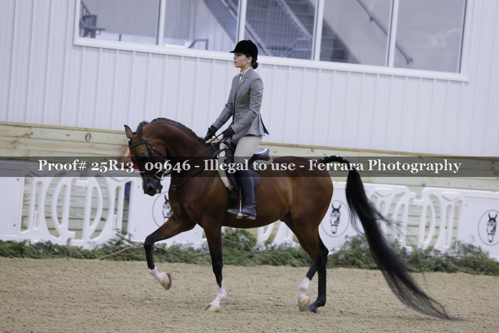 Proof 25R13_09646