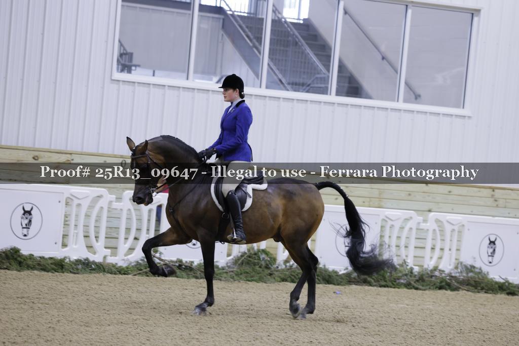 Proof 25R13_09647
