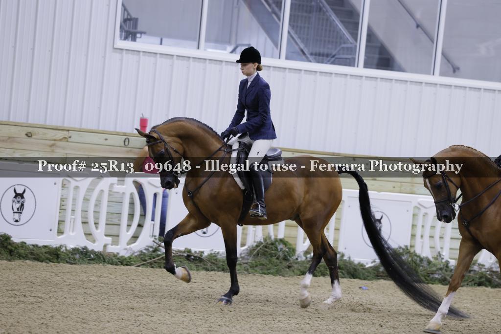Proof 25R13_09648