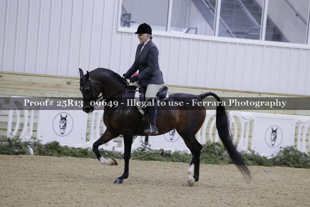 Proof 25R13_09649
