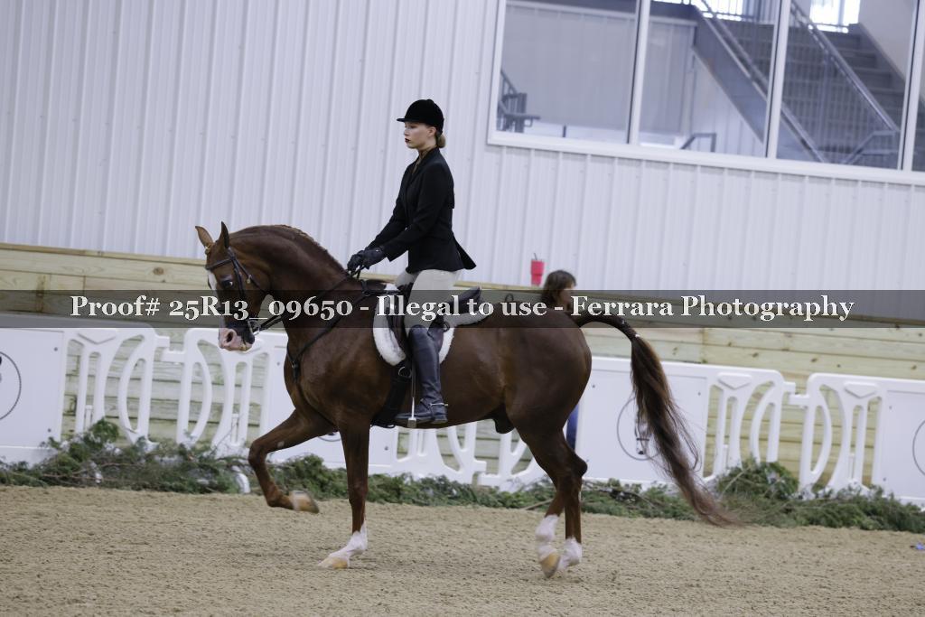 Proof 25R13_09650
