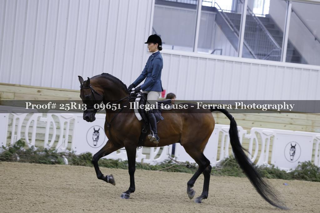 Proof 25R13_09651