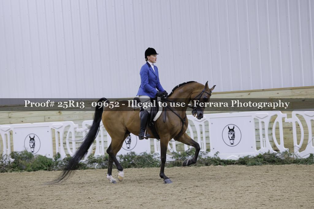 Proof 25R13_09652