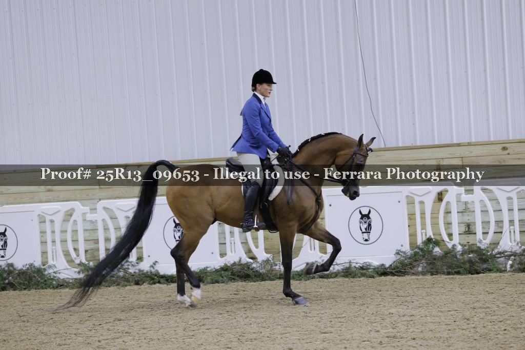 Proof 25R13_09653