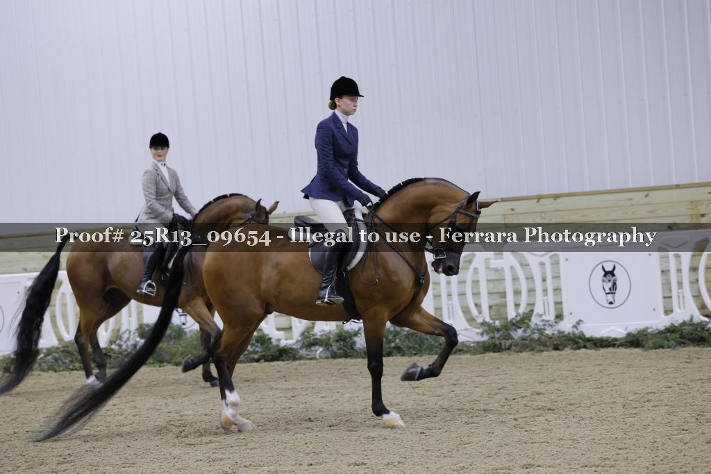 Proof 25R13_09654