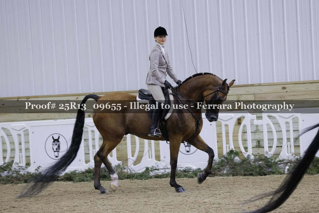 Proof 25R13_09655