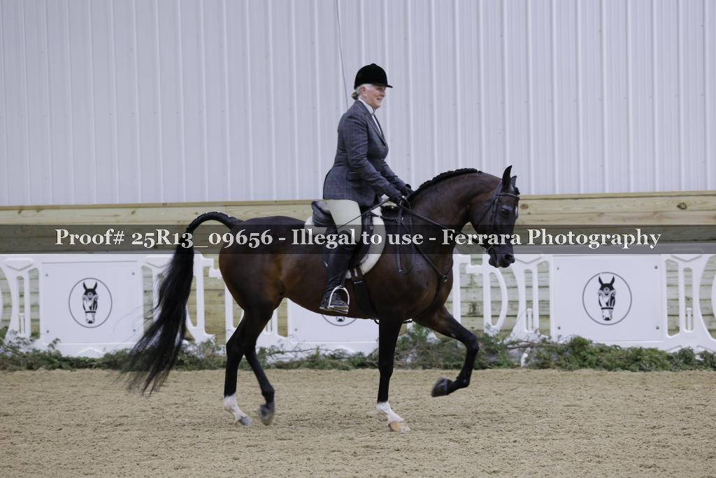 Proof 25R13_09656
