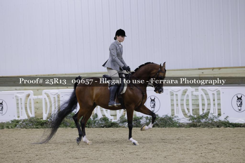 Proof 25R13_09657