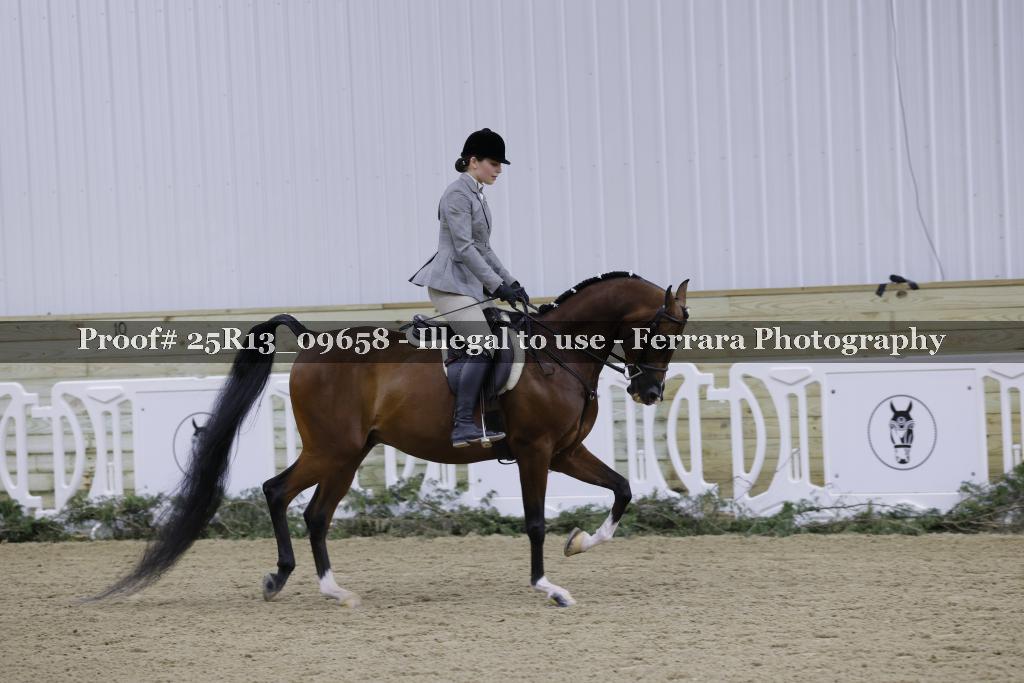 Proof 25R13_09658