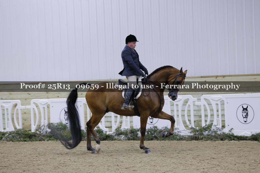 Proof 25R13_09659