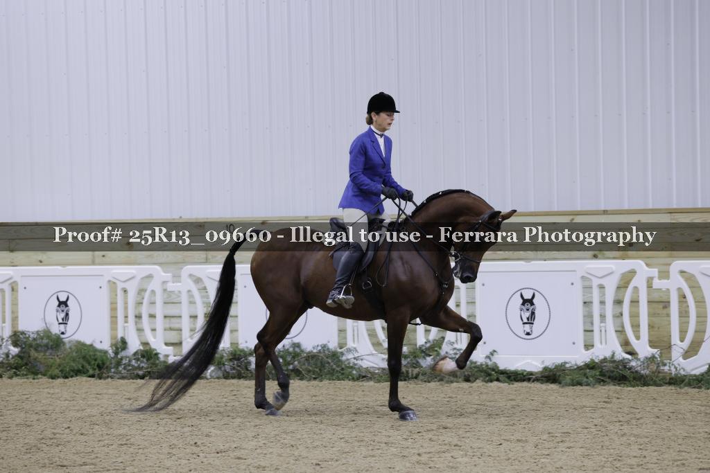 Proof 25R13_09660