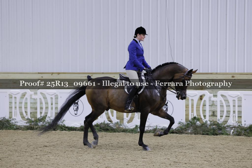 Proof 25R13_09661