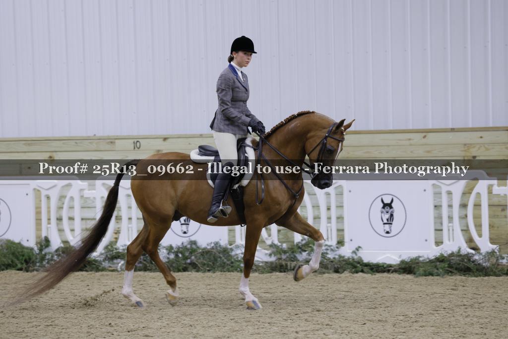 Proof 25R13_09662