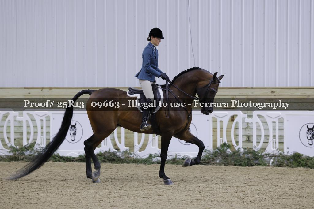 Proof 25R13_09663