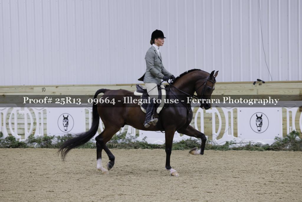 Proof 25R13_09664