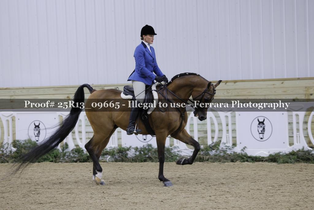 Proof 25R13_09665