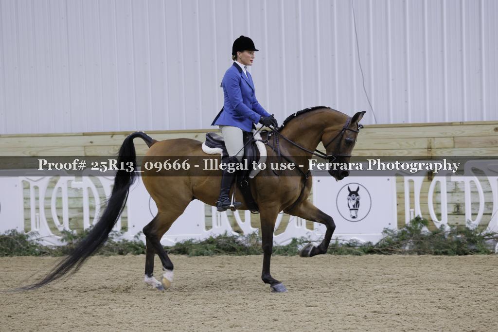 Proof 25R13_09666