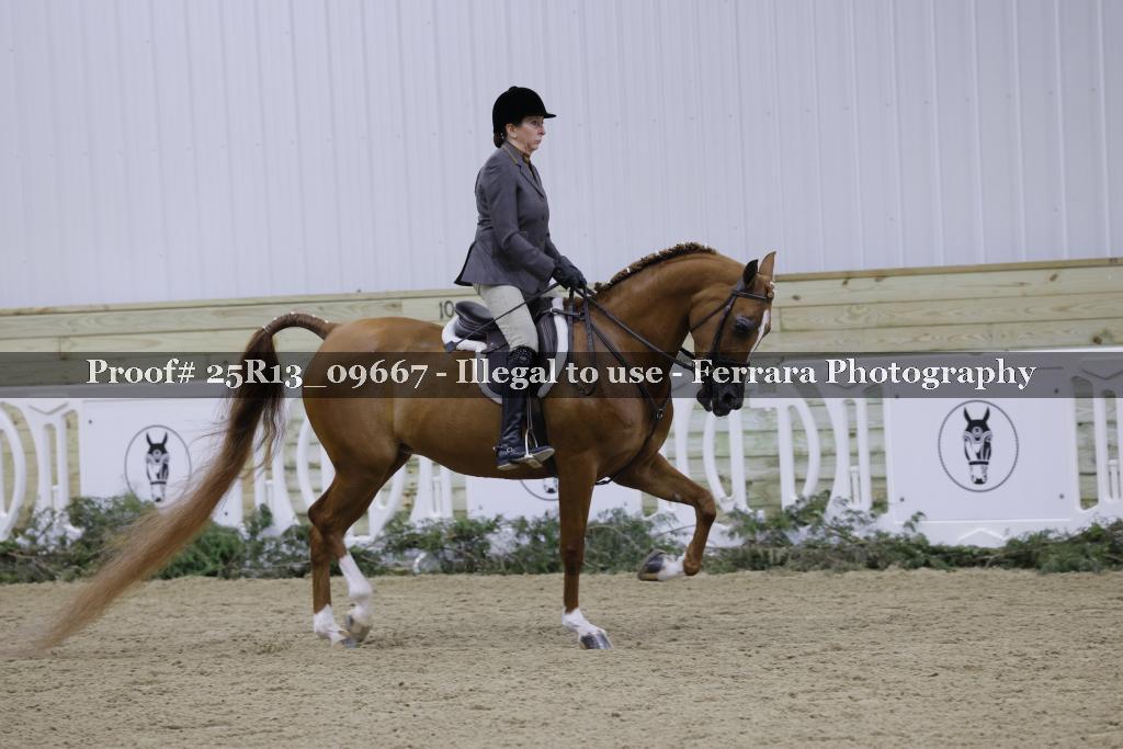 Proof 25R13_09667