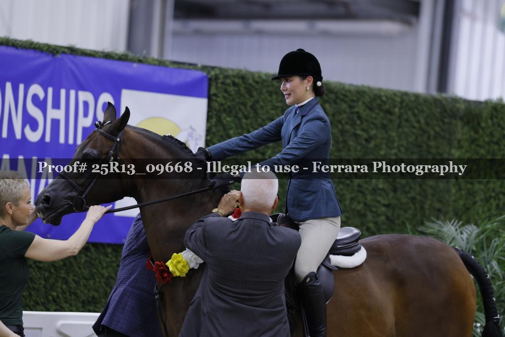 Proof 25R13_09668