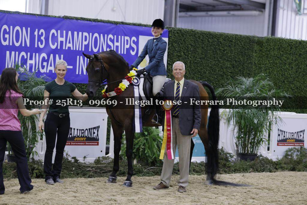 Proof 25R13_09669