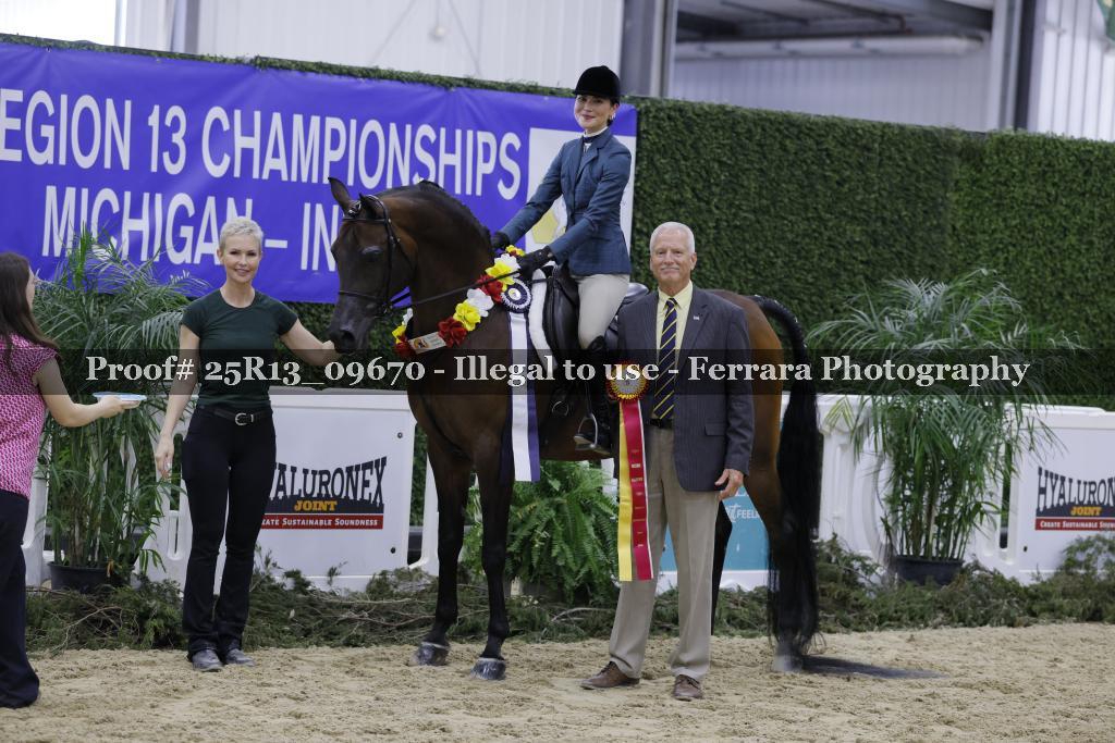Proof 25R13_09670