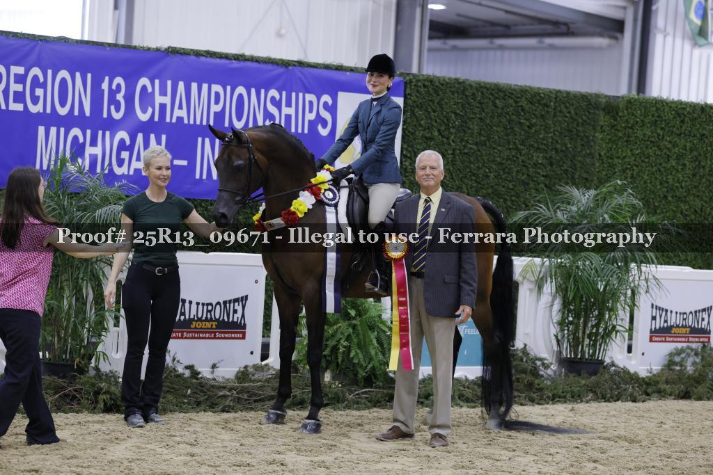 Proof 25R13_09671