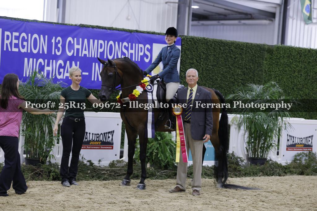 Proof 25R13_09672