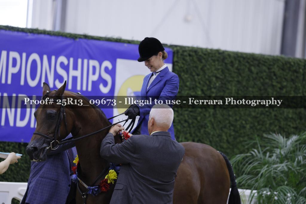 Proof 25R13_09673